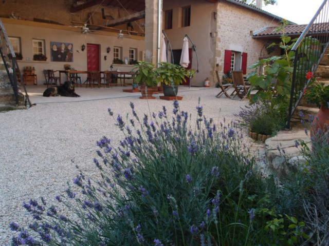Bed and Breakfast Ferme Robin Marsaz Экстерьер фото